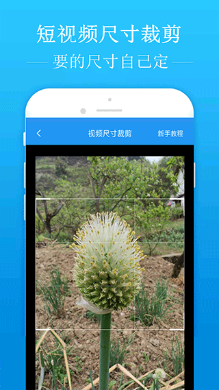 经纪人回应章子怡意外摔倒